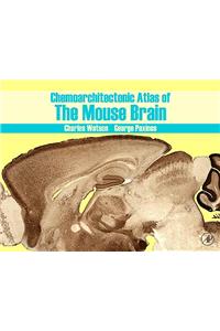 Chemoarchitectonic Atlas of the Mouse Brain
