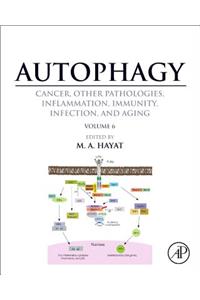 Autophagy: Cancer, Other Pathologies, Inflammation, Immunity, Infection, and Aging