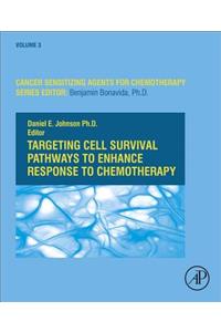 Targeting Cell Survival Pathways to Enhance Response to Chemotherapy