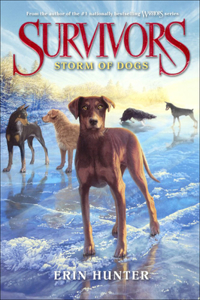 Storm of Dogs