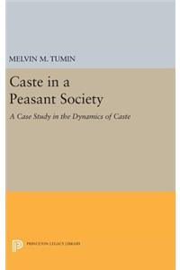 Caste in a Peasant Society