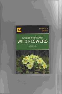 Wayside & Woodland Wild Flowers