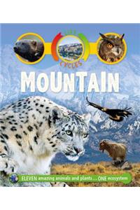 Life Cycles: Mountain