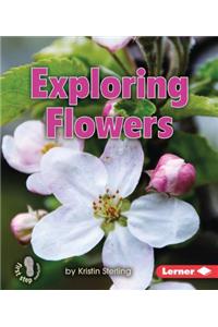 Exploring Flowers