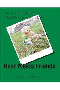 Bear Meets Friends