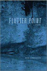 Flutter Point