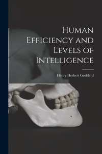 Human Efficiency and Levels of Intelligence