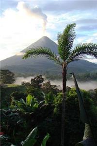 Palm Tree and Volcano Travel Journal