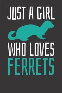 Ferret Notebook
