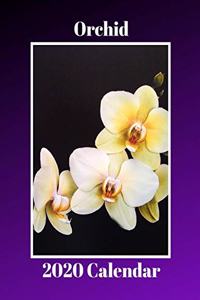 Orchid 2020 Calendar