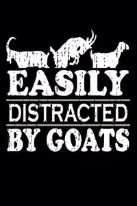 Easily Distracted By Goats