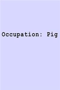 Occupation