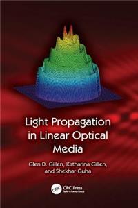 Light Propagation in Linear Optical Media