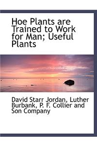 Hoe Plants Are Trained to Work for Man; Useful Plants