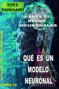 Qué Es Un Modelo Neuronal