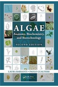 Algae