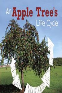 Apple Tree's Life Cycle