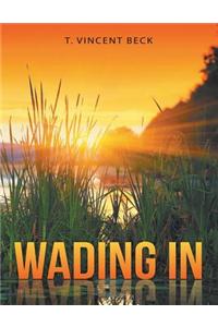 Wading in