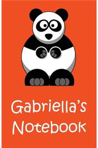 Gabriella's Notebook
