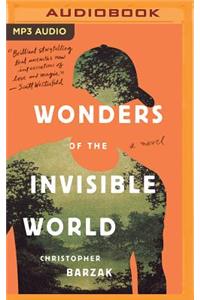 Wonders of the Invisible World
