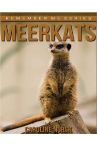 Meerkats