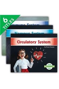 Beginning Science: Body Systems (Set)