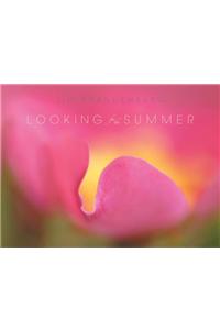 Looking for the Summer