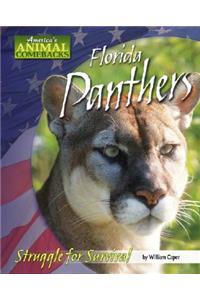 Florida Panthers: Struggle for Survival