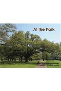 At the Park