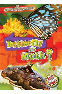 Butterfly or Moth