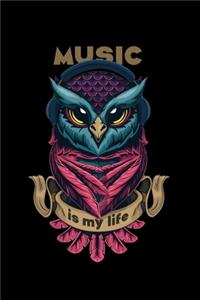 Music Is My Life Owl Journal Notebook, Souvenir Journal Diary