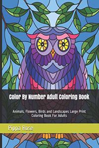 Color By Number Adult Coloring Book