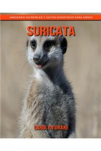 Suricata