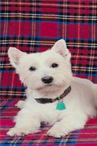 2020 Daily Planner White Puppy Dog Photo 388 Pages