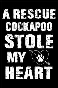 A Rescue Cockapoo Stole My Heart