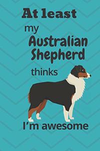 At least My Australian Shepherd thinks I'm awesome