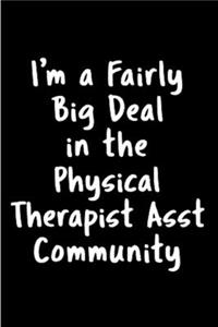I'm a fairly big deal in the physical therapist asst community