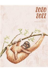 2020-2022 Three 3 Year Planner Watercolor Sloth Cub Monthly Calendar Gratitude Agenda Schedule Organizer