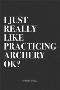 I Just Really Like Practicing Archery Ok?