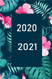 2020 / 2021