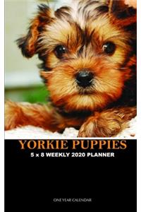 Yorkie Puppies 5 x 8 Weekly 2020 Planner