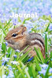 Journal