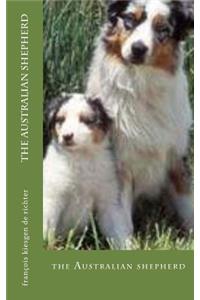 Australian shepherd
