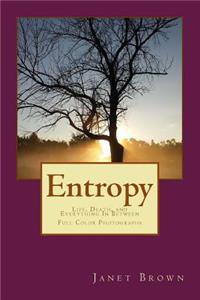 Entropy