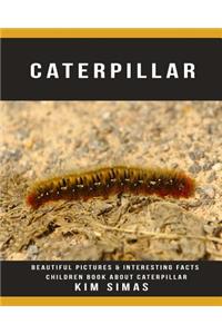 Caterpillar: Beautiful Pictures & Interesting Facts Children Book about Caterpillar