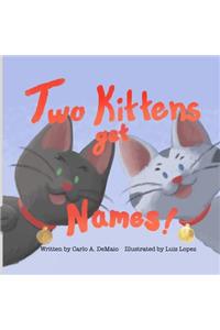 Two Kittens Get Names