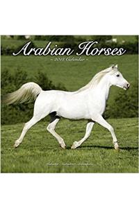 Arabian Horses Calendar 2018