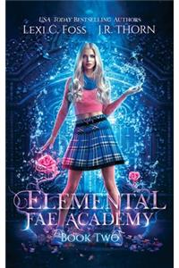 Elemental Fae Academy