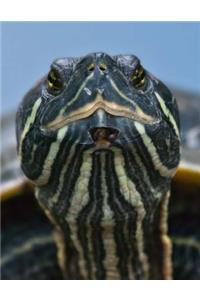 Turtle Bullet Journal