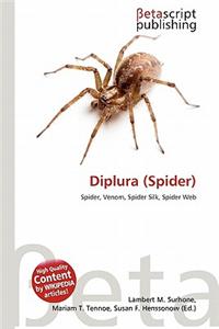 Diplura (Spider)